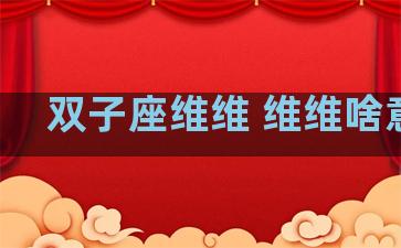 双子座维维 维维啥意思